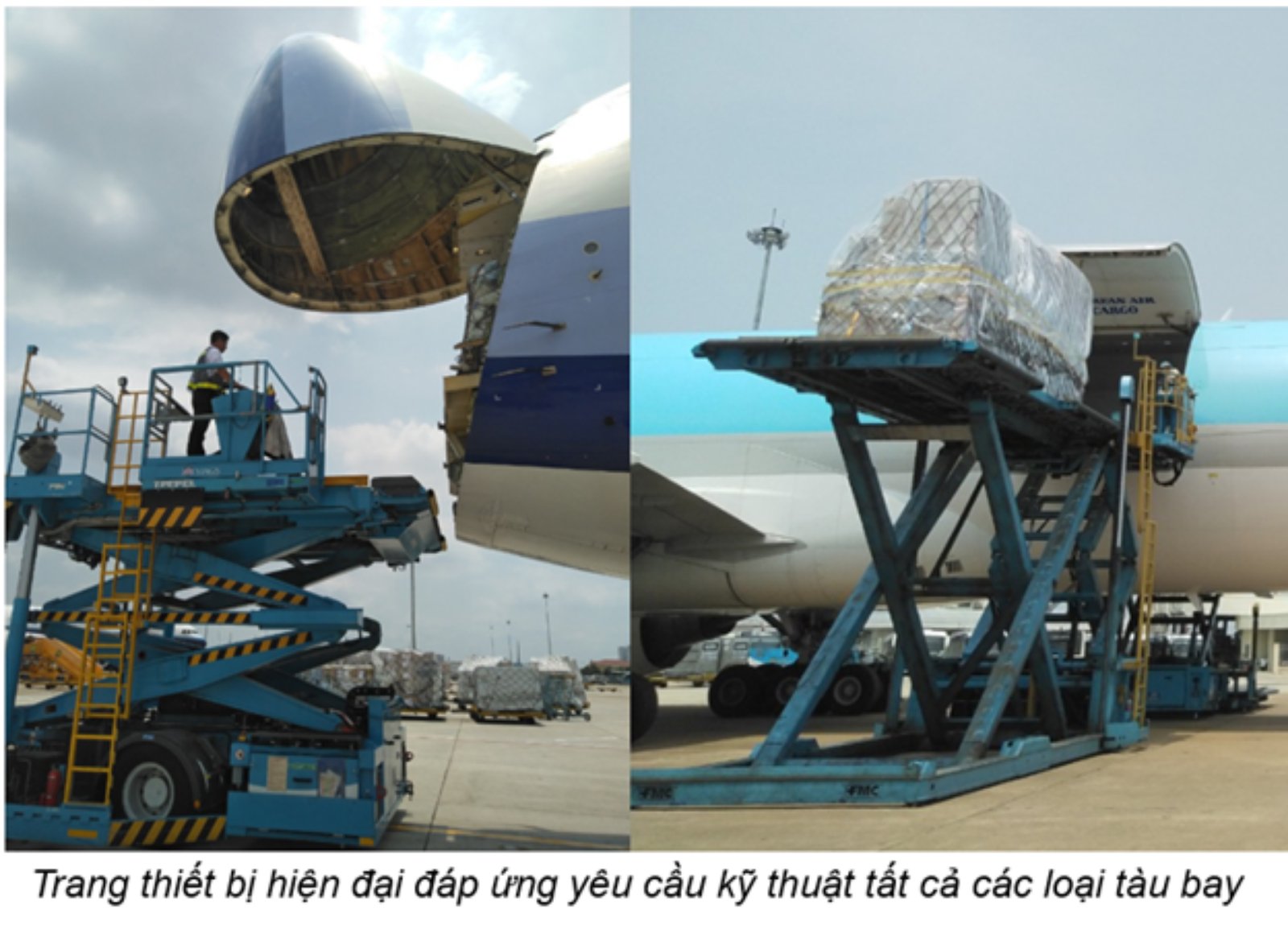 VIAGS TAN SON NHAT STRENGHTHENED SERVICE WORK FOR CARGO FLIGHTS